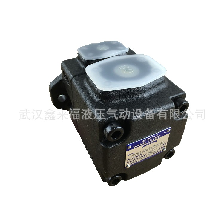 柱塞泵同時(shí)出現(xiàn)振動(dòng)和噪聲問題該怎么辦？
